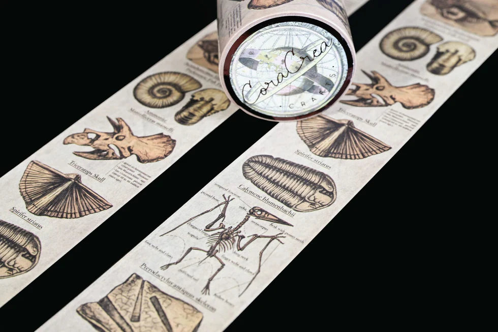 Vintage Fossils Washi Tape