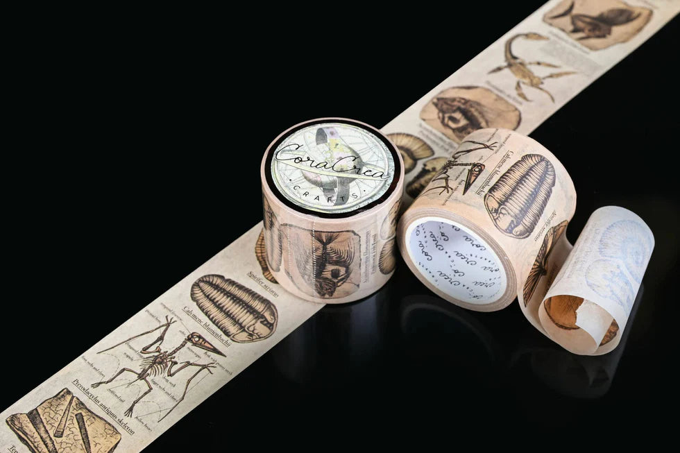 Vintage Fossils Washi Tape