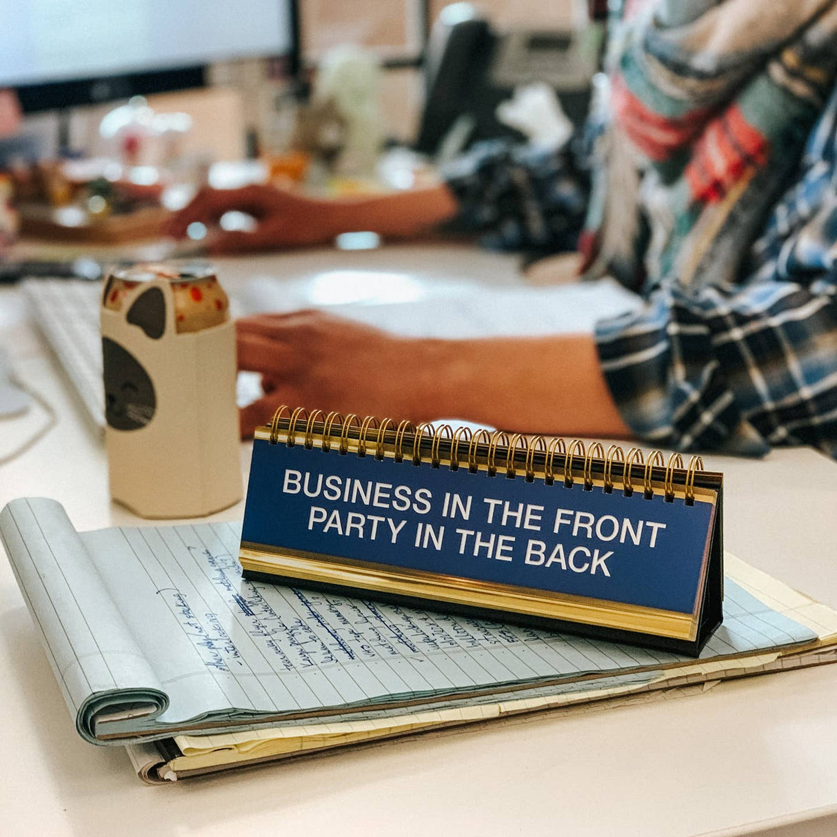 Fred’s Daily Desk Plaque shows off your witty side and alerts your workmates about how you’re feeling. The desktop flip book contains 50 titles and phrases so there is always one to fit your vibe. Packed in a colorful, peggable gift box.