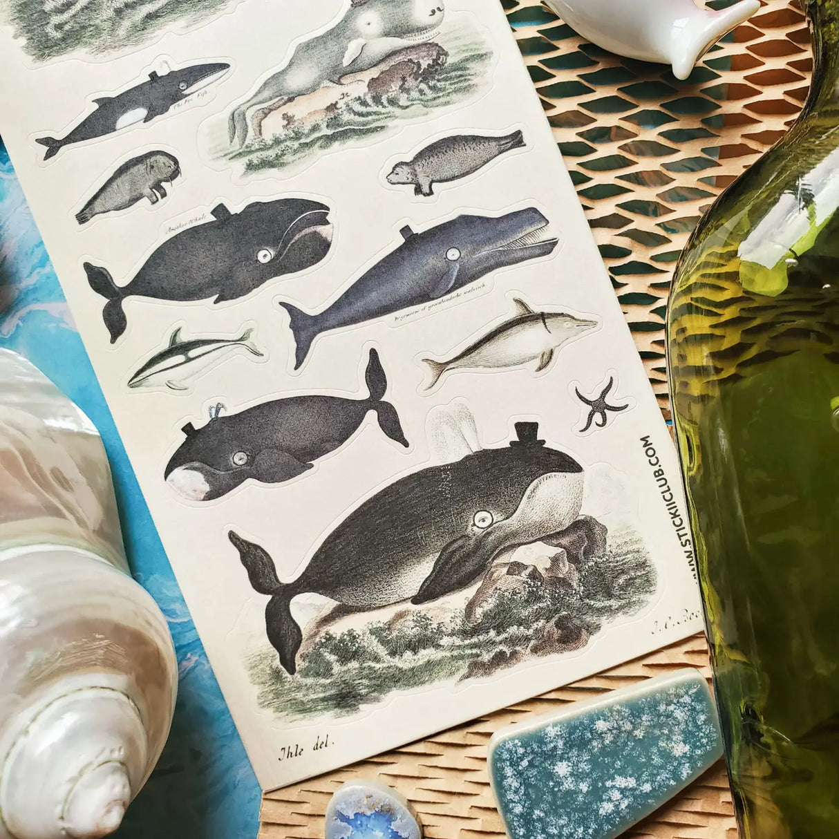 π©π³ Very distinguished, very deep, very delightful! This charming sheet is filled with dapper whales and curious sea creatures dressed for their grand ocean debut. With tiny top hats, monocles, and a wonderfully whimsical old-world feel, these gentle giants will bring plenty of seaside sophistication to your creations.
Top Coating: None
Adhesive Layer: Paper
Backing Layer: Paper
6.69"x3.54"
Weight: 0.03oz
1 Sheet Included