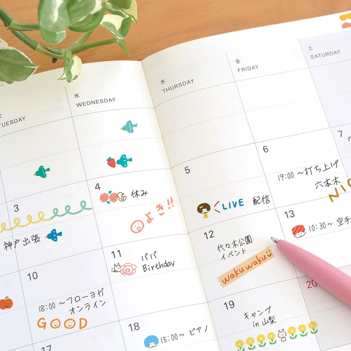 Deco Rush y Mizutama Kids