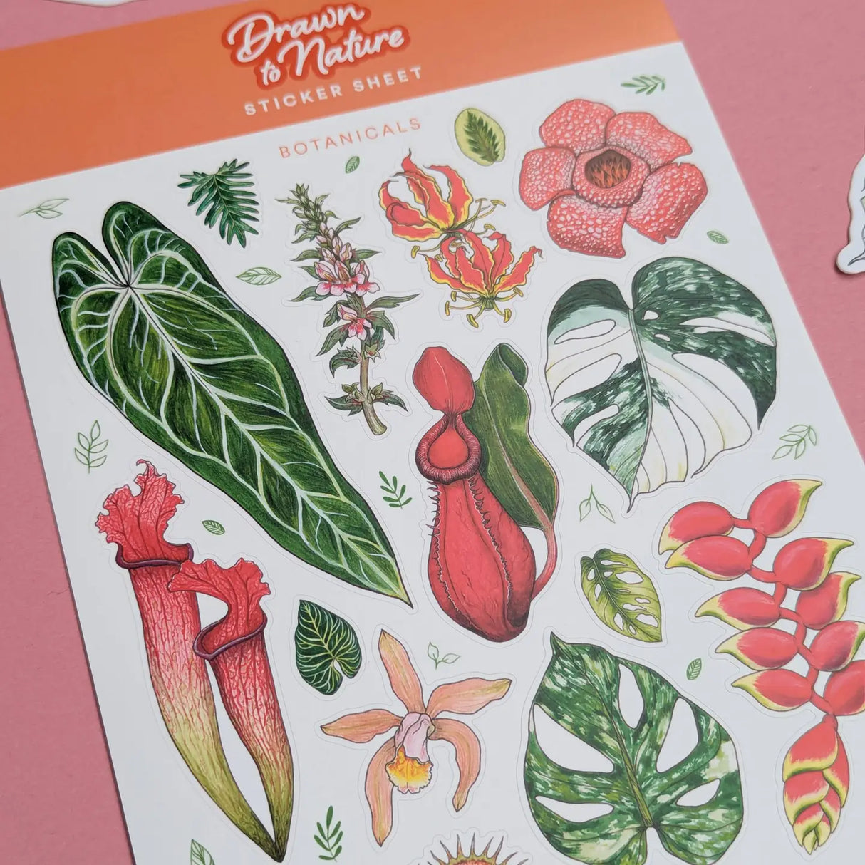 Drawn To Nature Botanicals Sticker Sheet Close Up