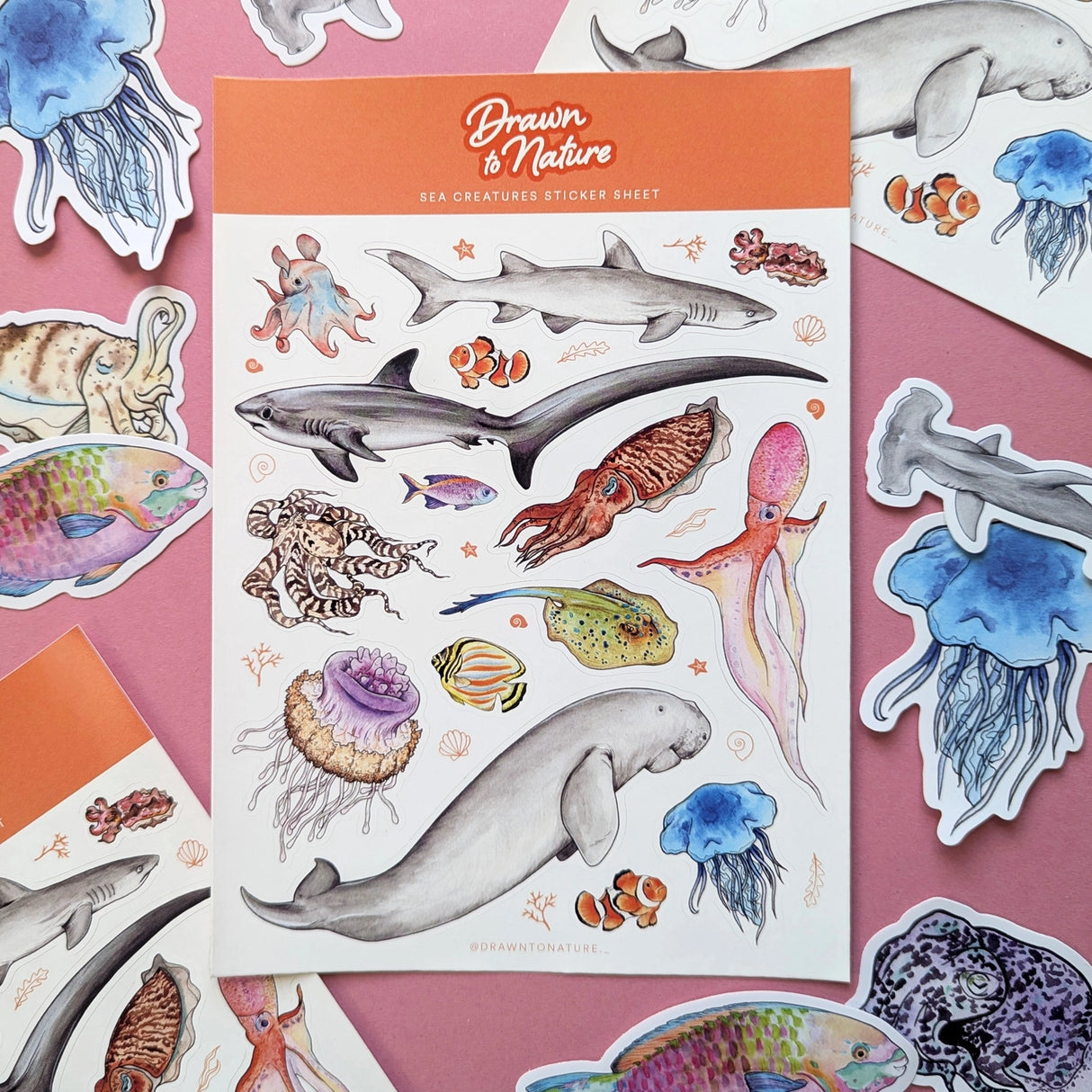 Drawn To Nature Sea Creatures Sticker Sheet