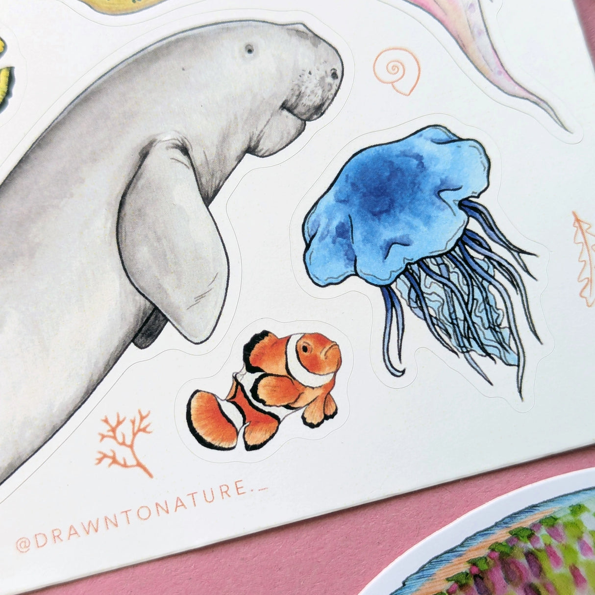 Drawn To Nature Sea Creatures Sticker Sheet