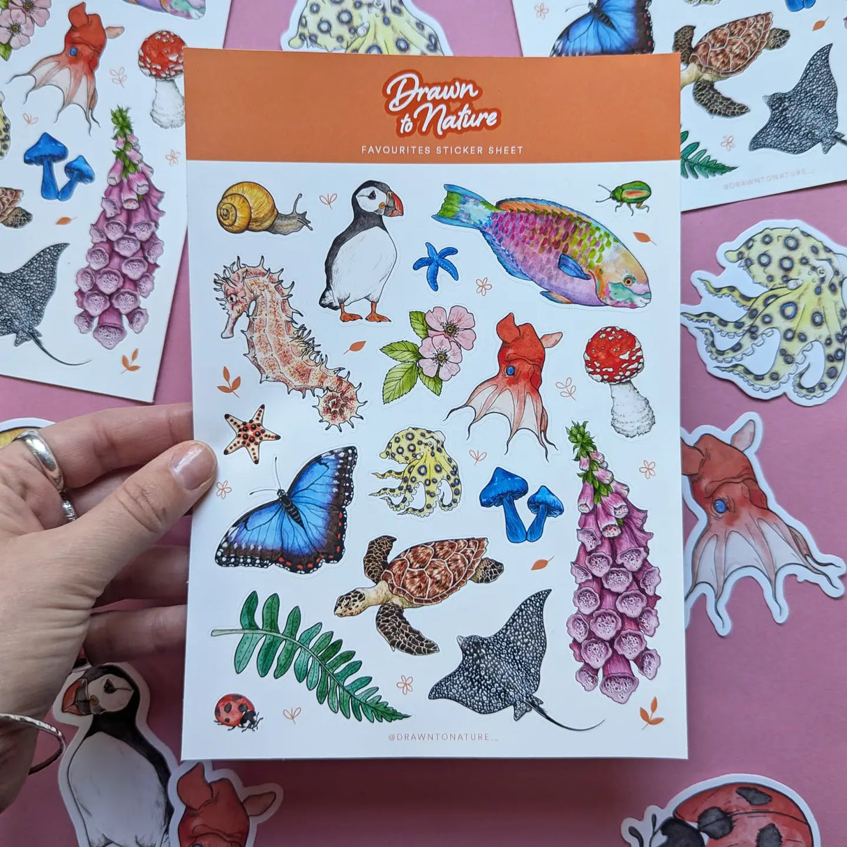 Drawn To Nature Wild Life Favs Sticker Sheet