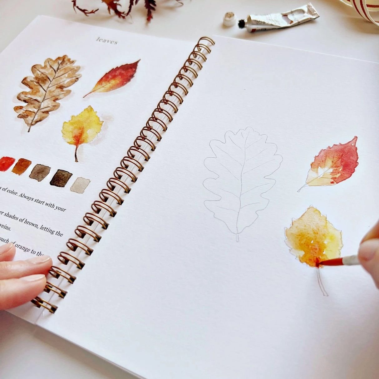 Twelve autumn illustrations — a pumpkin, squirrel, fall leaves, vintage truck, mum bouquet, fall wreath, and more — each pre-outlined with step-by-step instructions. Paintings take about thirty minutes from start to finish, making it approachable for first-time painters and a favorite for gifting.
12 beginner-friendly illustrations
Thick 120lb watercolor paper
Lay-flat pages with spiral binding for hassle-free painting and easy tear-out
Lightly outlined sketches to guide you
Easy to carry