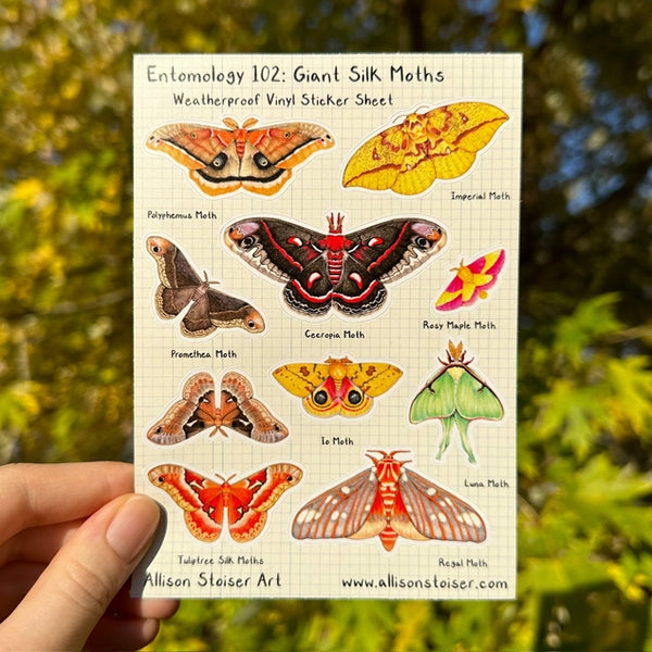 Entomology 102: Giant Silk Moths Vinyl Sticker Sheet