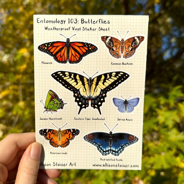 Entomology 103: Butterflies Vinyl Sticker Sheet