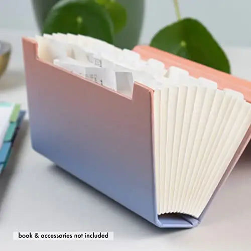 Erin Condren Budget Accordion File Side