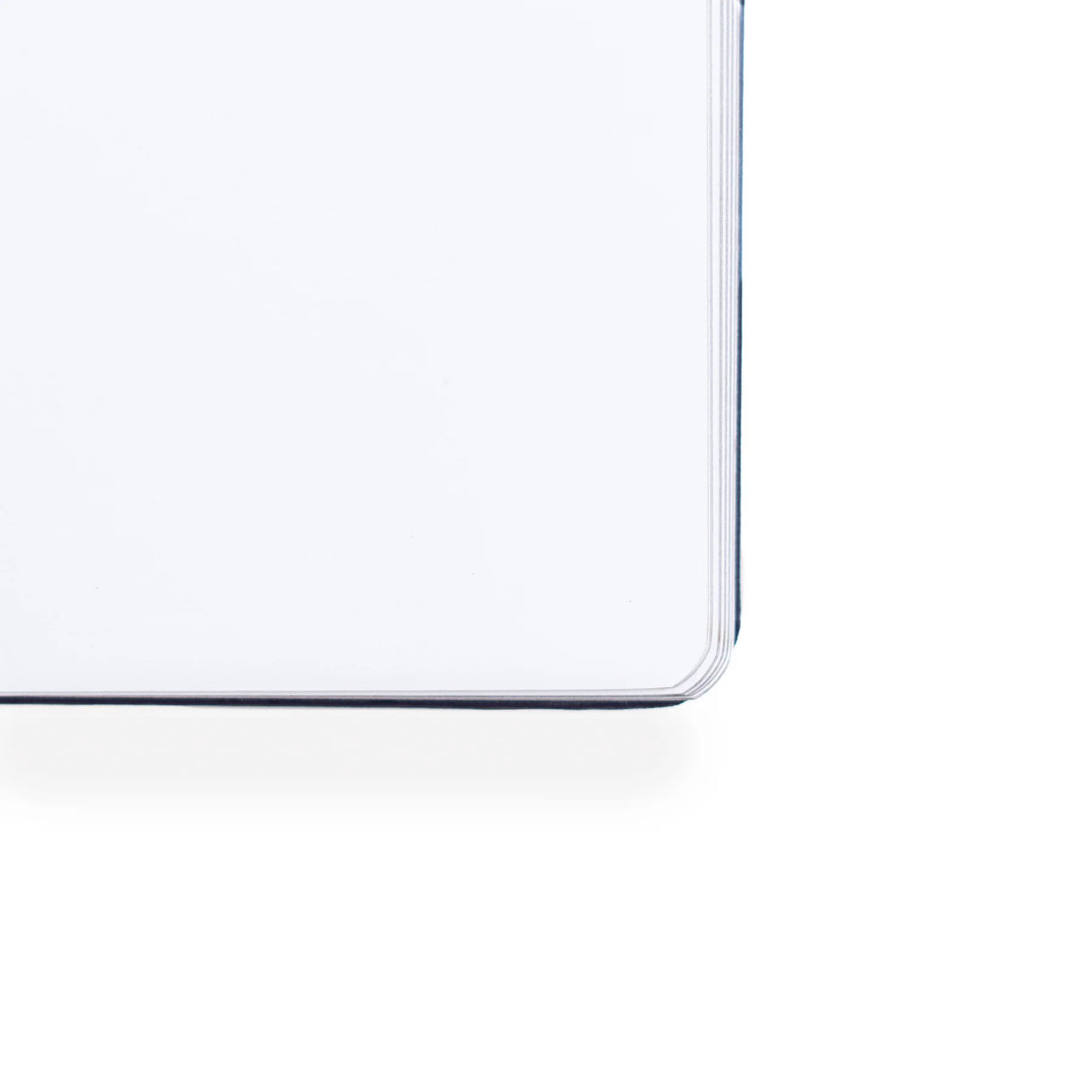 Archer and Olive A5 Swallows: Blank Notebook