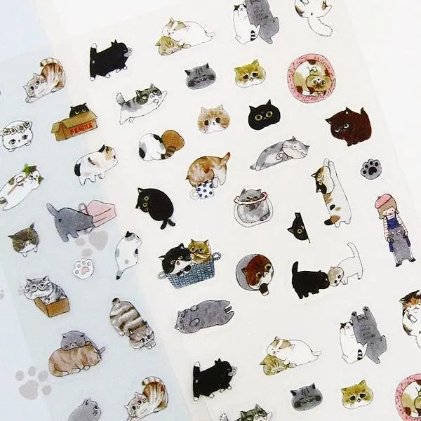Exotic Shorthair Sticker Sheet
This is a small size transparent material sticker that is easy to decorate in planners or journals. It contains two identical illustrations, so you can use it for preservation, matching, or sharing.
Sheet size: Length 150× Width 90mm
Includes 1 sticker sheet