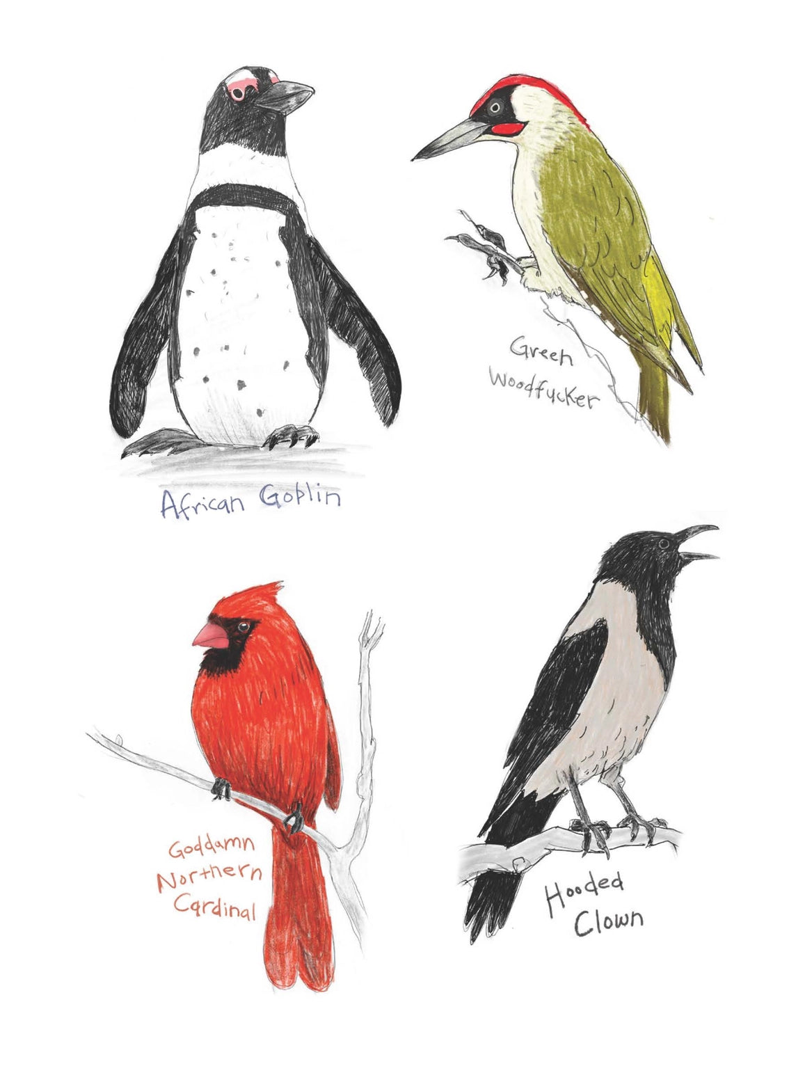 Field Guide To Dumb Birds Sticker Book