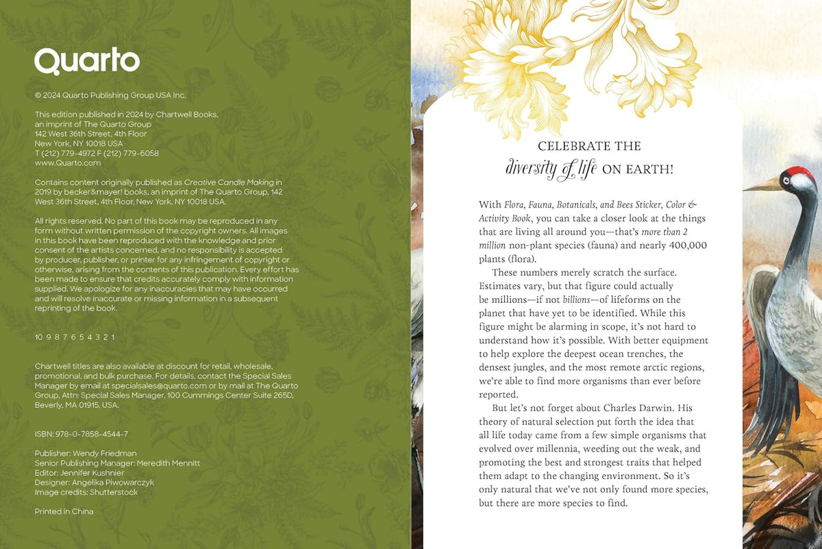 Celebrate the diversity of life on earth with 500+ stickers, 50+ activity and coloring pages, and instructions for candle making, drying bouquets, and so much more!
With Flora, Fauna, Botanicals, and Bees Sticker, Color & Activity Book, you can take a closer look at the things that are living all around you—that’s more than 2 million non-plant species (fauna) and nearly 400,000 plants (flora).
These numbers merely scratch the surface. Estimates vary, but that figure could actually be millions—if not billio