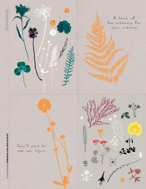 From the creators of Flow magazine, the Paper Book for Nature Lovers is a stationery enthusiast’s dream, brimming from cover to cover with beautiful paper and Flow’s signature goodies—all inspired by the natural world.
Nature is full of patterns, colors, and shapes. So, naturally, this Paper Book for Nature Lovers is too. A nice big book full of patterns and illustrations by talented artists including Lotte Dirks, Jennifer Orkin Lewis, and Deborah van der Schaaf. The contents range from stationery to