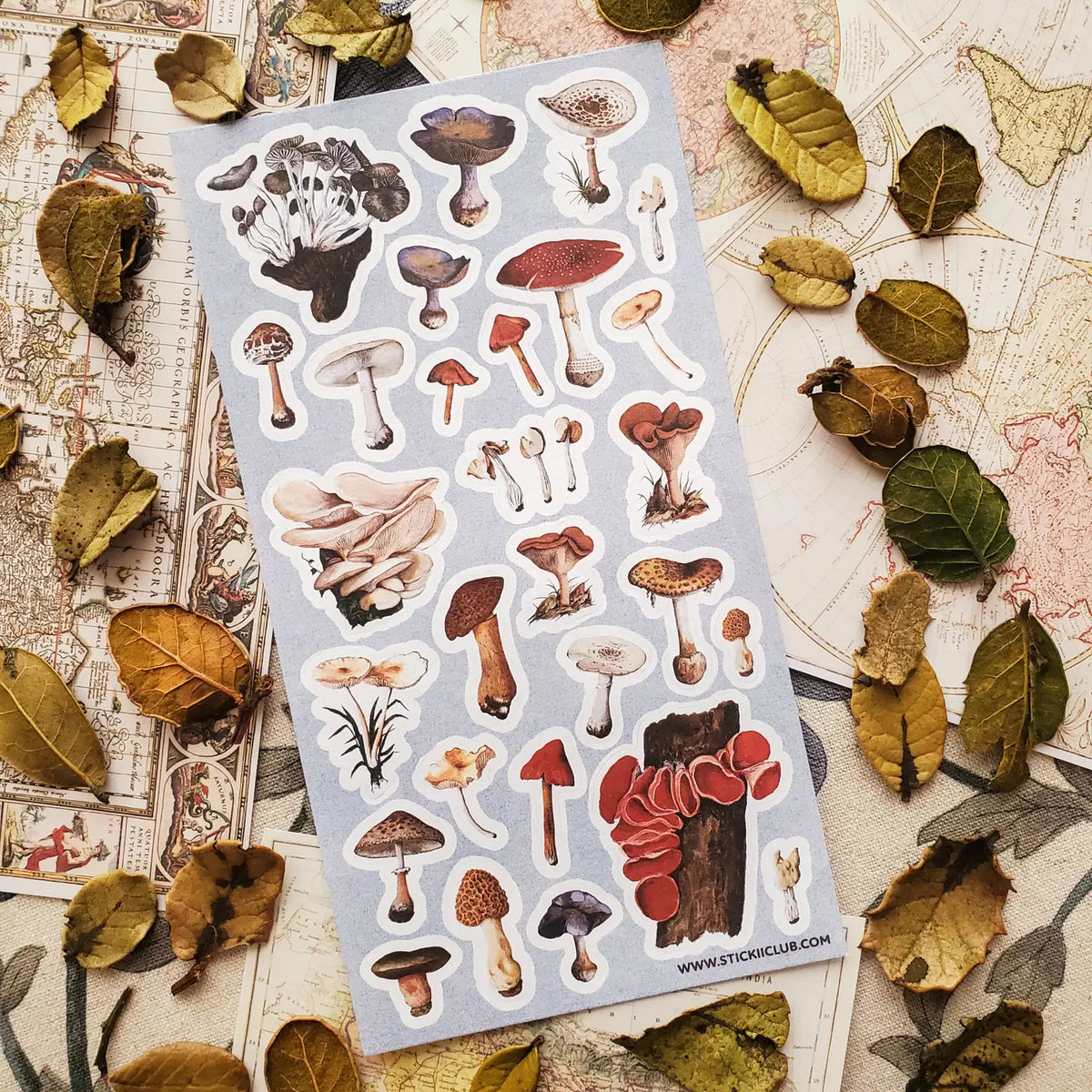 🍄🌿 Wander into a woodland where every fallen log, mossy hollow, and shaded forest floor hides a tiny treasure. From oyster clusters and scarlet caps to intricate morels and velvety violets, this vintage-inspired set celebrates mushrooms as a lovely gathering of curious specimens for anyone enchanted by the wild, mysterious world of the forest floor.
One sticker sheet is included.
Top Coating: None
Adhesive Layer: Paper
Backing Layer: Clear PET
Size: 6.69"x3.54"
Weight-0.03oz