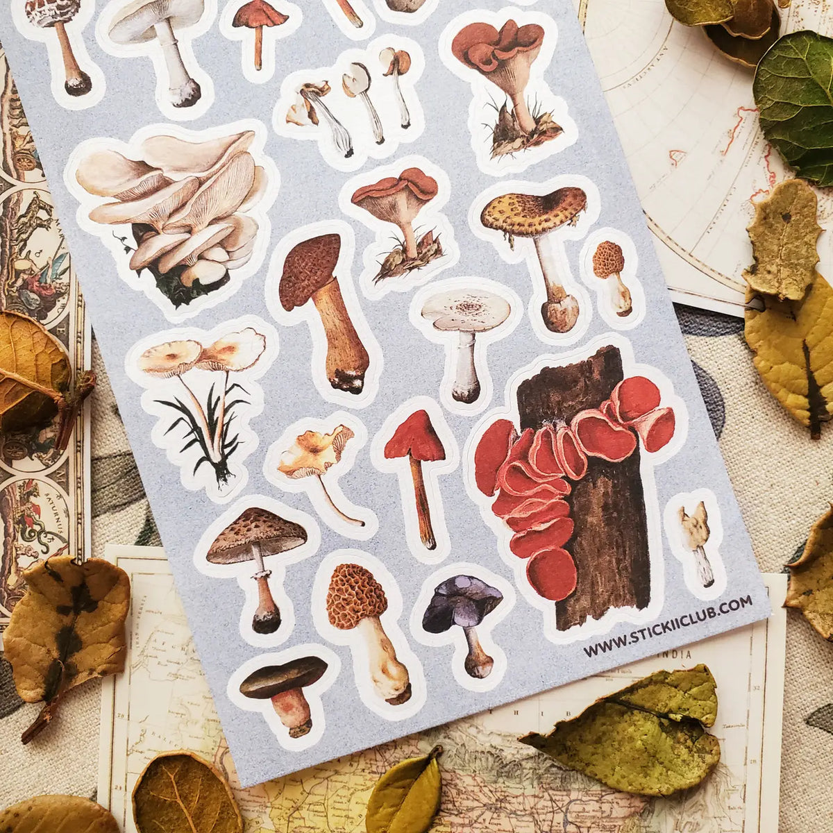 🍄🌿 Wander into a woodland where every fallen log, mossy hollow, and shaded forest floor hides a tiny treasure. From oyster clusters and scarlet caps to intricate morels and velvety violets, this vintage-inspired set celebrates mushrooms as a lovely gathering of curious specimens for anyone enchanted by the wild, mysterious world of the forest floor.
One sticker sheet is included.
Top Coating: None
Adhesive Layer: Paper
Backing Layer: Clear PET
Size: 6.69"x3.54"
Weight-0.03oz