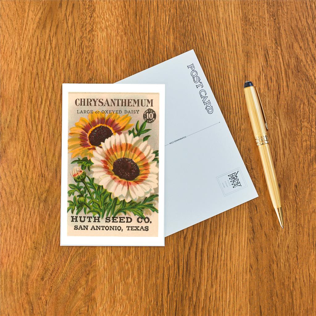 Elevate your inventory with this classic 3.5" x 5.5" postcard featuring an image from our Gardening collection titled Chrysanthemum Seed Packet.