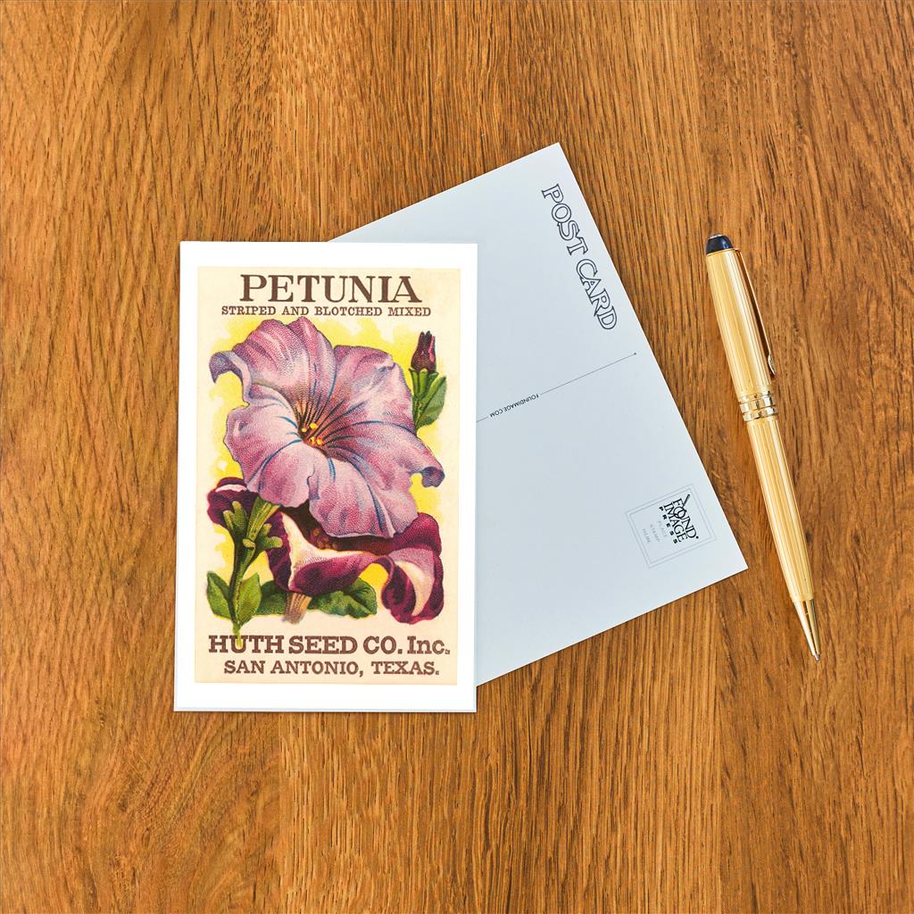 Elevate your inventory with this classic 3.5" x 5.5" postcard featuring an image from our Gardening collection titled Petunia Seed Packet.