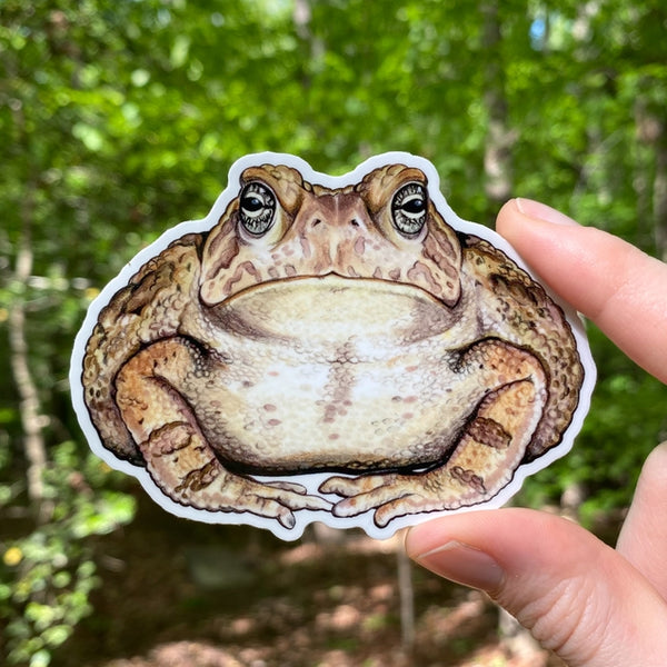 Fowler's Toad Vinyl Sticker