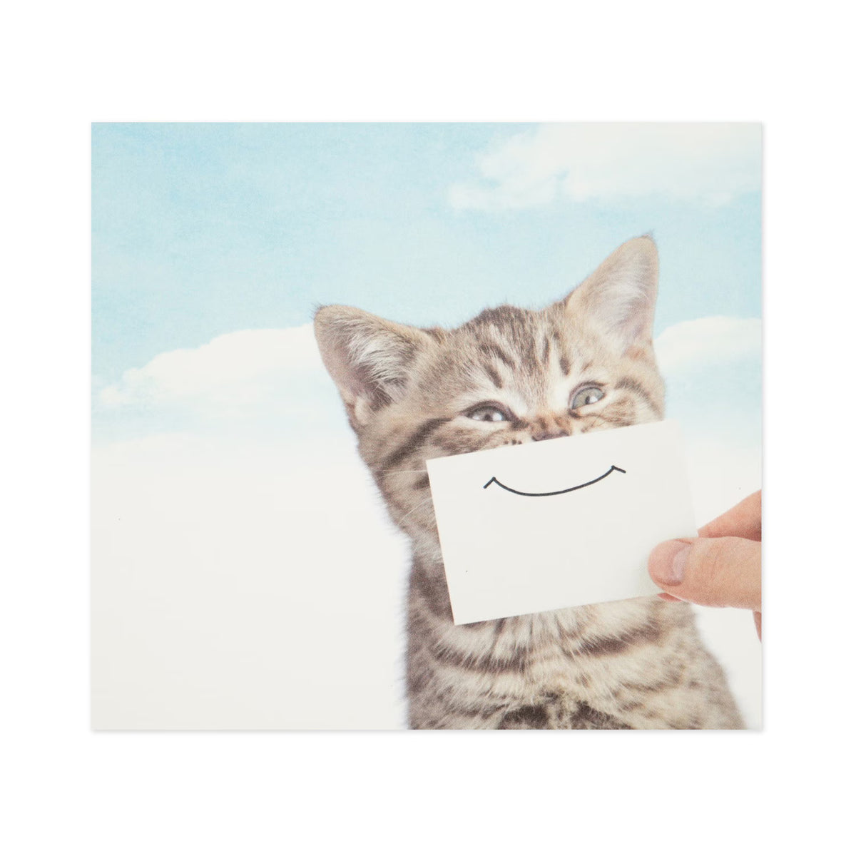 Block memo featuring a cute cat in a playful way. The design will make you smile, and it's sure to lift the hearts of those who receive it! Of course, it can be used as a daily note, as well as a small gift card or message card.
