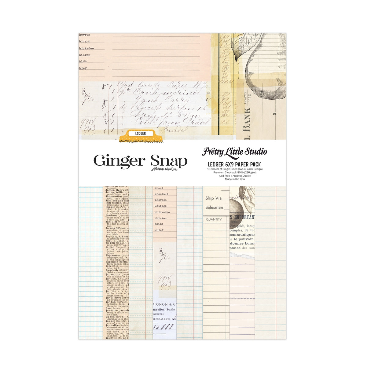 Ginger Snap Ledger 6x9 Single Sided Paper Pack - 16 Sheets