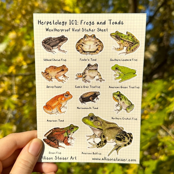 Herpetology 101: Frogs and Toads Vinyl Sticker Sheet