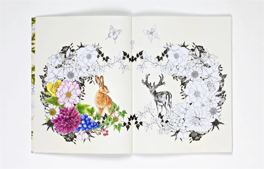 Journey through dream-like forest scenes, and encounter real and fabulous creatures in this gorgeous new coloring book by Daisy Fletcher, creator of Birdtopia. Beginning in a woodland world of otters, badgers, foxes, and deer, the pages gradually transport you deeper into a flower forest, a magical environment populated with rare and mythical animals such as caracals, squirrel monkeys, muntjacs, and ibex. Color your way through exotic and wonderful plants – Candy Cane Sorrel, Passion Flowers, and giant Cact