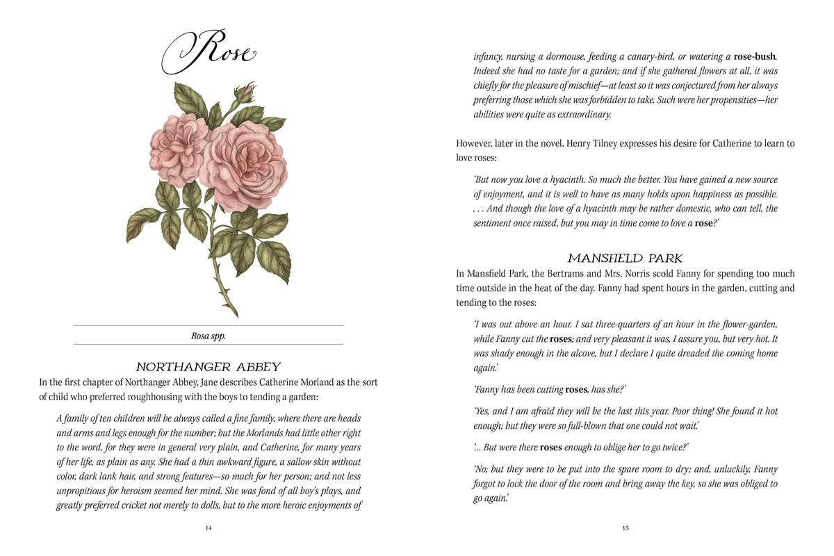 An elegantly illustrated celebration of Jane Austen’s life and literature as told through the flowers, plants, and landscapes that inspired her.
New York Times Bestselling Illustrator!
Through explorations of the botanical inspirations and symbolism in Austen’s work and personal life, as well as historical information about the gardens and landscapes of the Regency Era, Jane Austen’s Garden transports readers back in time to the lush English landscape of the early 1800s. 