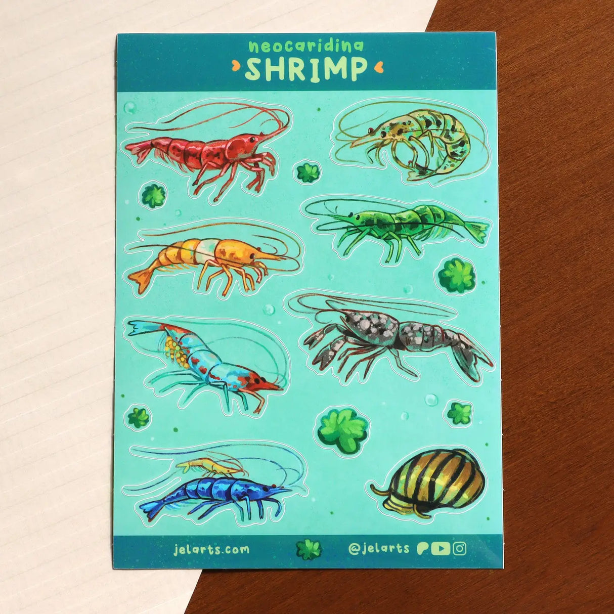 A sticker sheet full of various neocaridina shrimp, a dwarf lobster, nerite snail, and moss balls. 8 Total large stickers, and 6 moss ball stickers.
Waterproof vinyl sticker sheet, 5"x7"
14 Peelable stickers on each sheet
Durable and waterproof
Packaged in a clear plastic sleeve