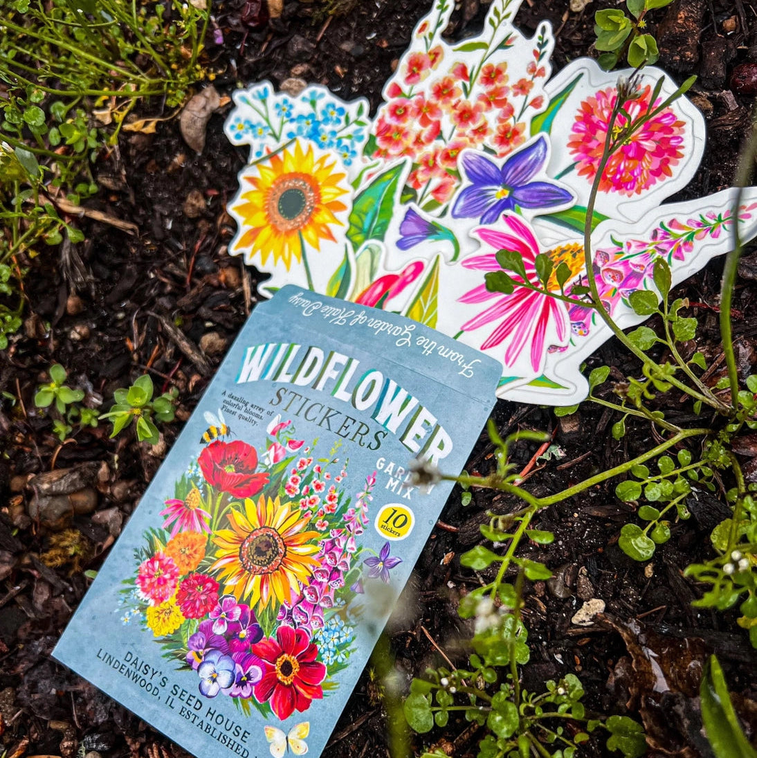 Wildflower Sticker Pack - Set of 10 Matte Stickers by Katie Daisy
From The Garden of Katie Daisy:
Adorn your laptop, water bottle, packages and so much more with this set of vibrant wildflower STICKERS!! You'll receive 10 floral stickers in a seed packet! (This listing is not for wildflower seeds ;) )