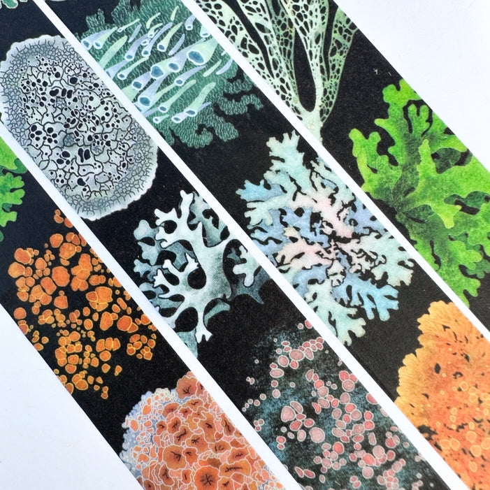 Lichen Washi Tape