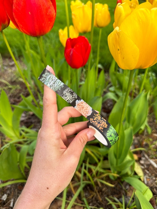 Lichen Washi Tape