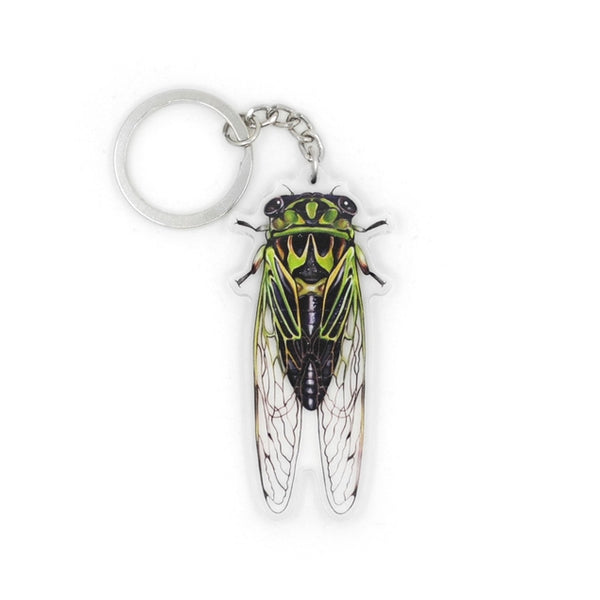 Linne's Cicada Double-Sided Acrylic Keychain