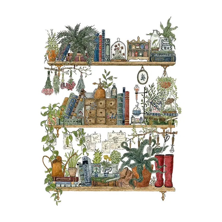 Lizzy Gass Postcard - The Botanist's Shelves
Postcard featuring my original watercolor and ink illustration of the vintage oddities and books tucked away in the shelves of a botanist, including lots of mushrooms, a tiny mouse, and red rain boots for traipsing through forests and fields to collect samples.
• Printed and cut in my studio on high quality, matte card using archival ink
• Each postcard measures 4.25 x 5.5" (A2)