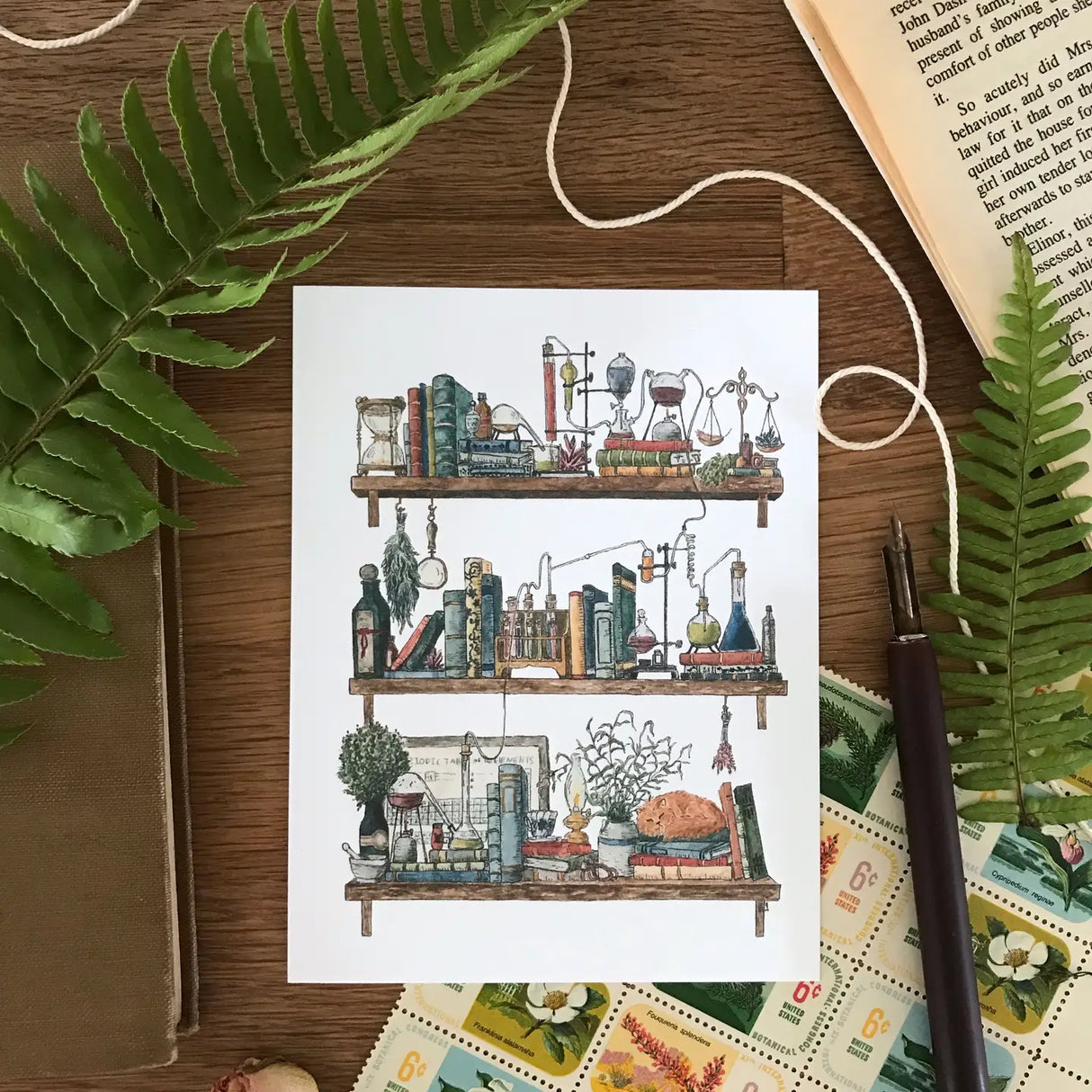 Postcard featuring my original watercolor and ink illustration of the vintage oddities and books tucked away in the shelves of a chemist, including Schrödinger's cat!
• Printed on high quality card stock
• Each postcard measures 4.25 x 5.5" (A2)