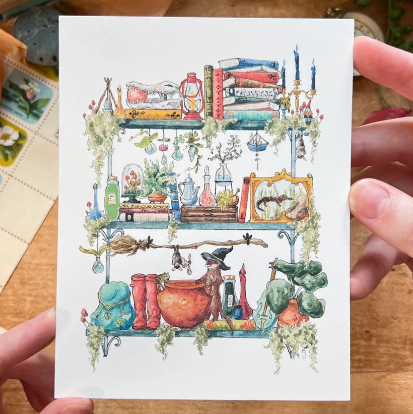 Postcard featuring my original watercolor and ink illustration of the oddities, books, tools, and trinkets tucked away in the shelves of a swamp witch, including an assortment of creatures brewing up a potion, and an alligator skull holding a crystal ball.