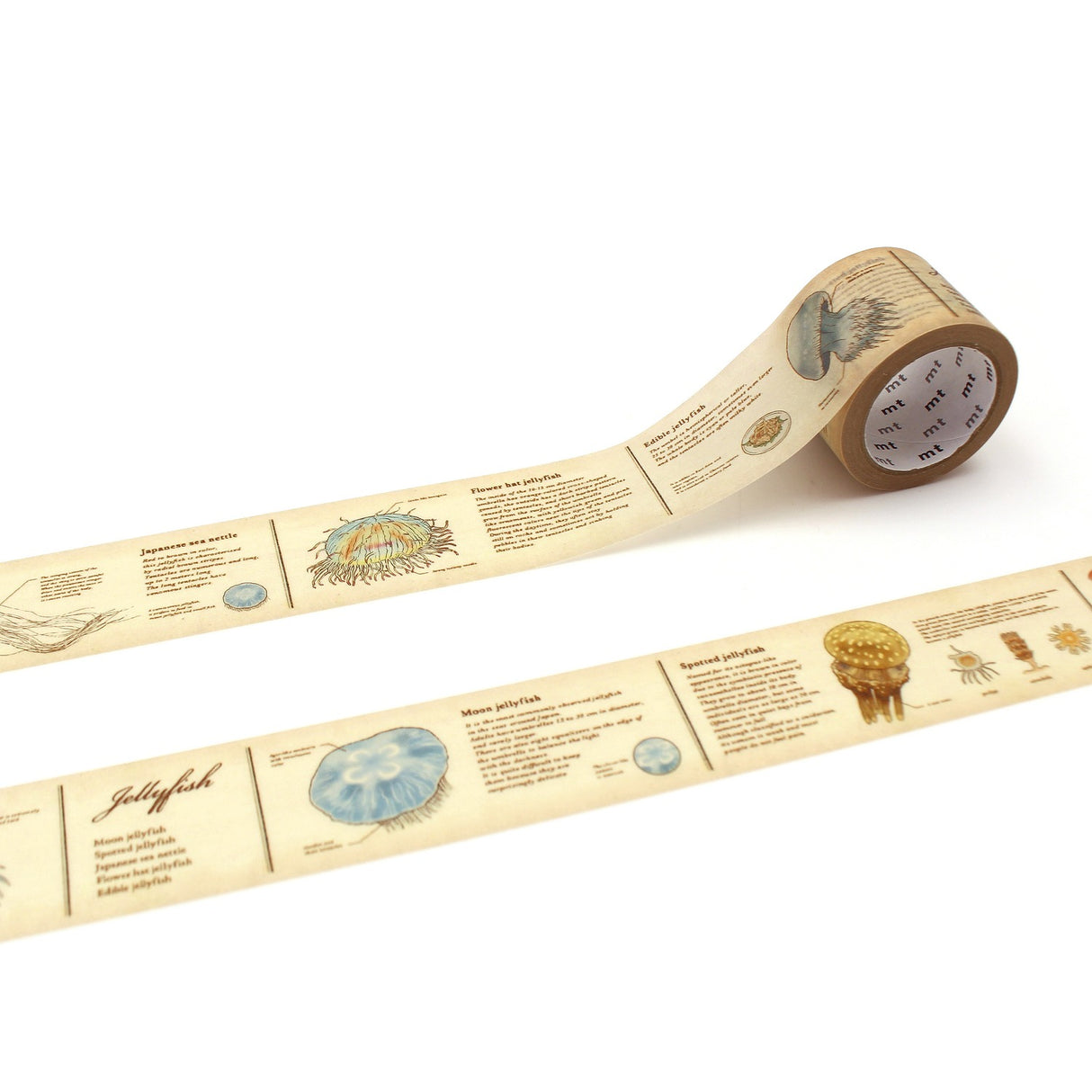 MT ex Washi Tape - Encyclopedia Jellyfish