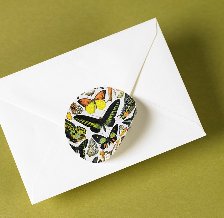 Libro de etiquetas adhesivas y cintas adhesivas de Historia Natural