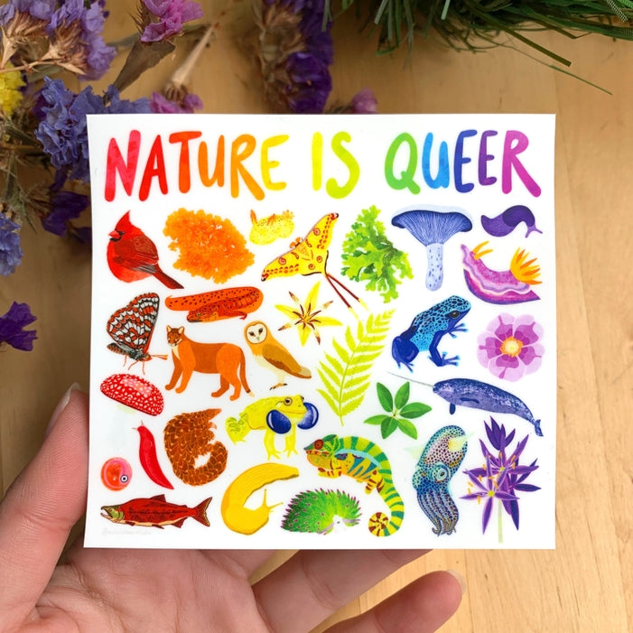 Pegatina Nature Is Queer - Vinilo ecológico