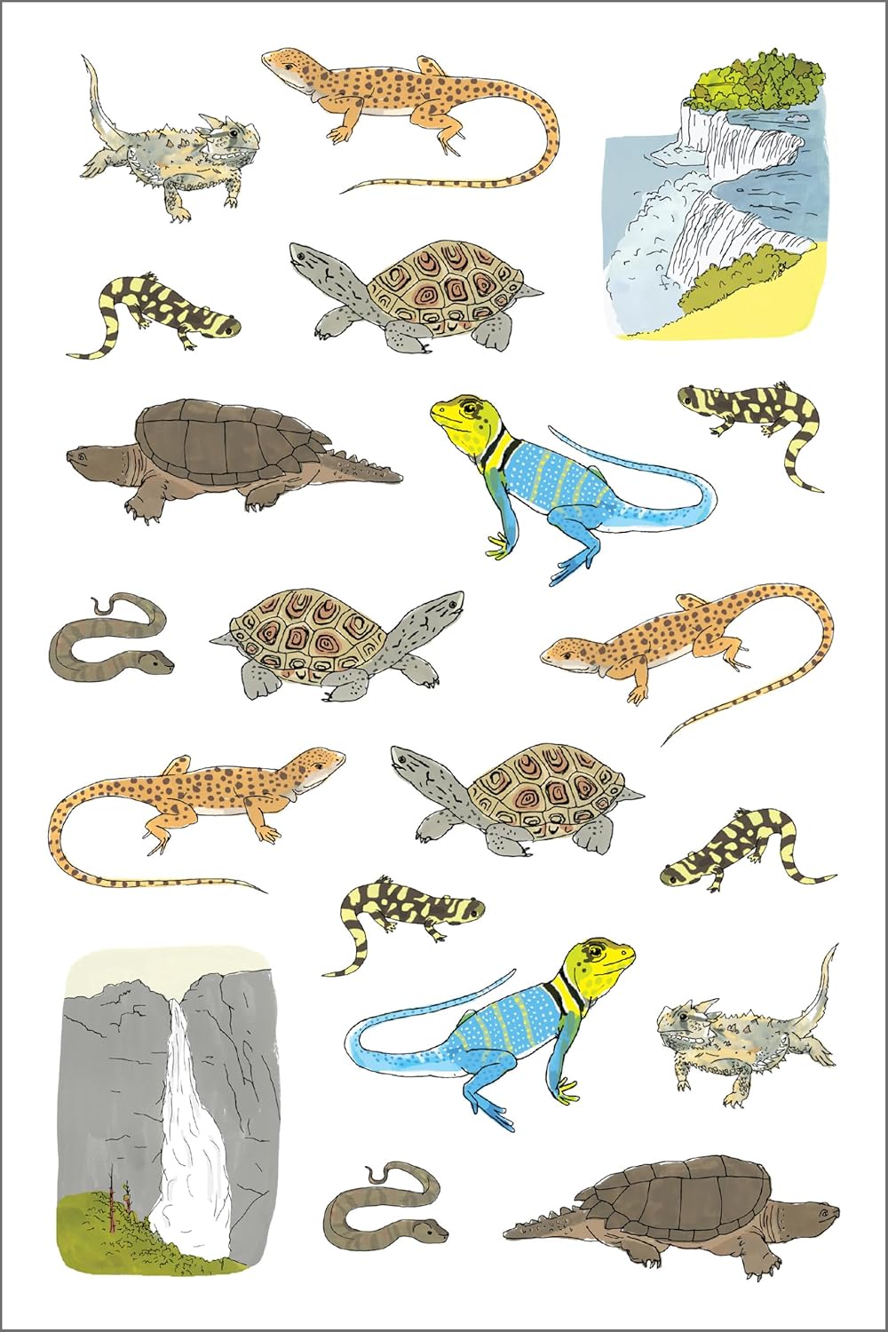Nature Anatomy Sticker Book