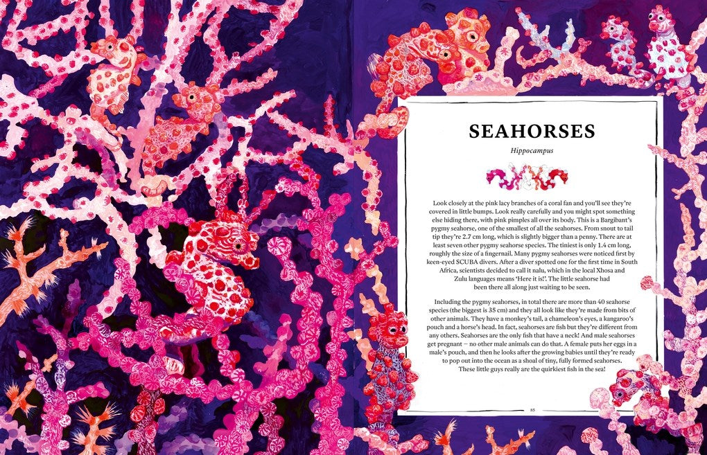 Oceanopedia: An Encyclopedia of Marine Creatures
Discover an incredible world hidden beneath the waves with this beautiful encyclopedia of our oceans and the animals that live in and around them.