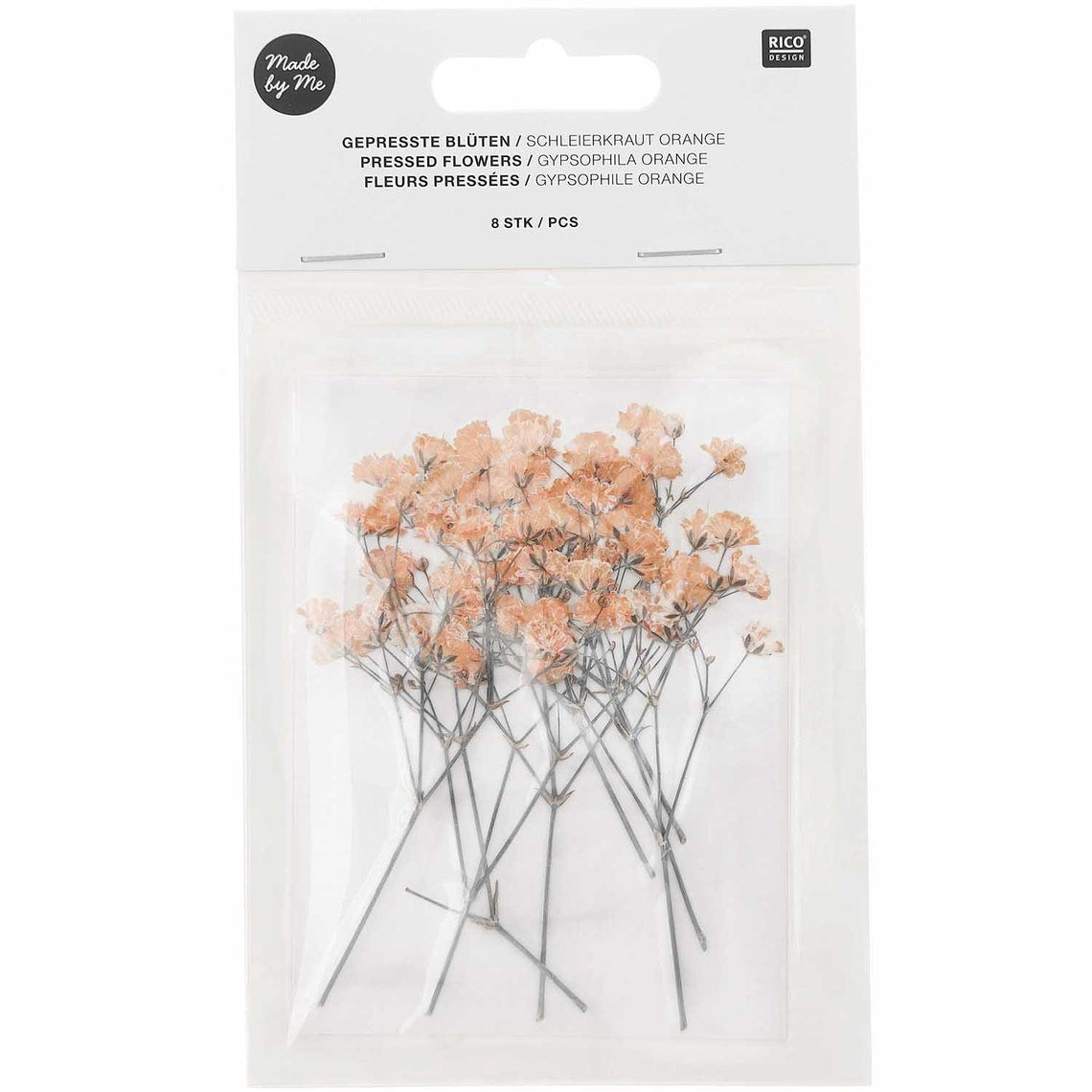 Set de flores y plantas prensadas Gypsophilia Peach