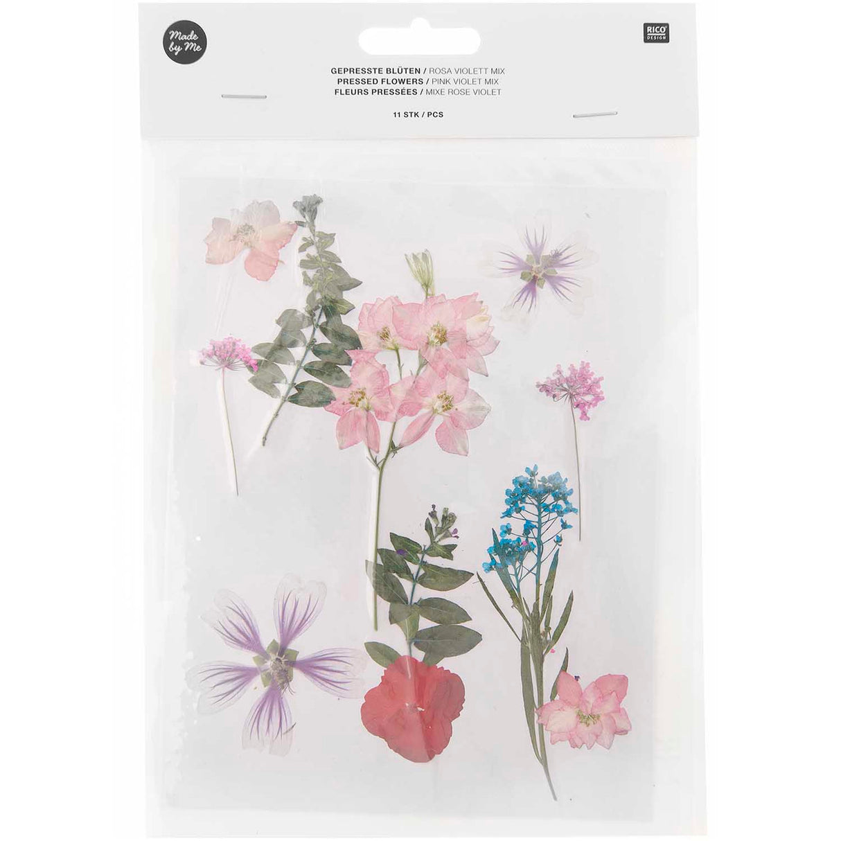 Conjunto de flores y plantas prensadas en mezcla de violeta y rosa