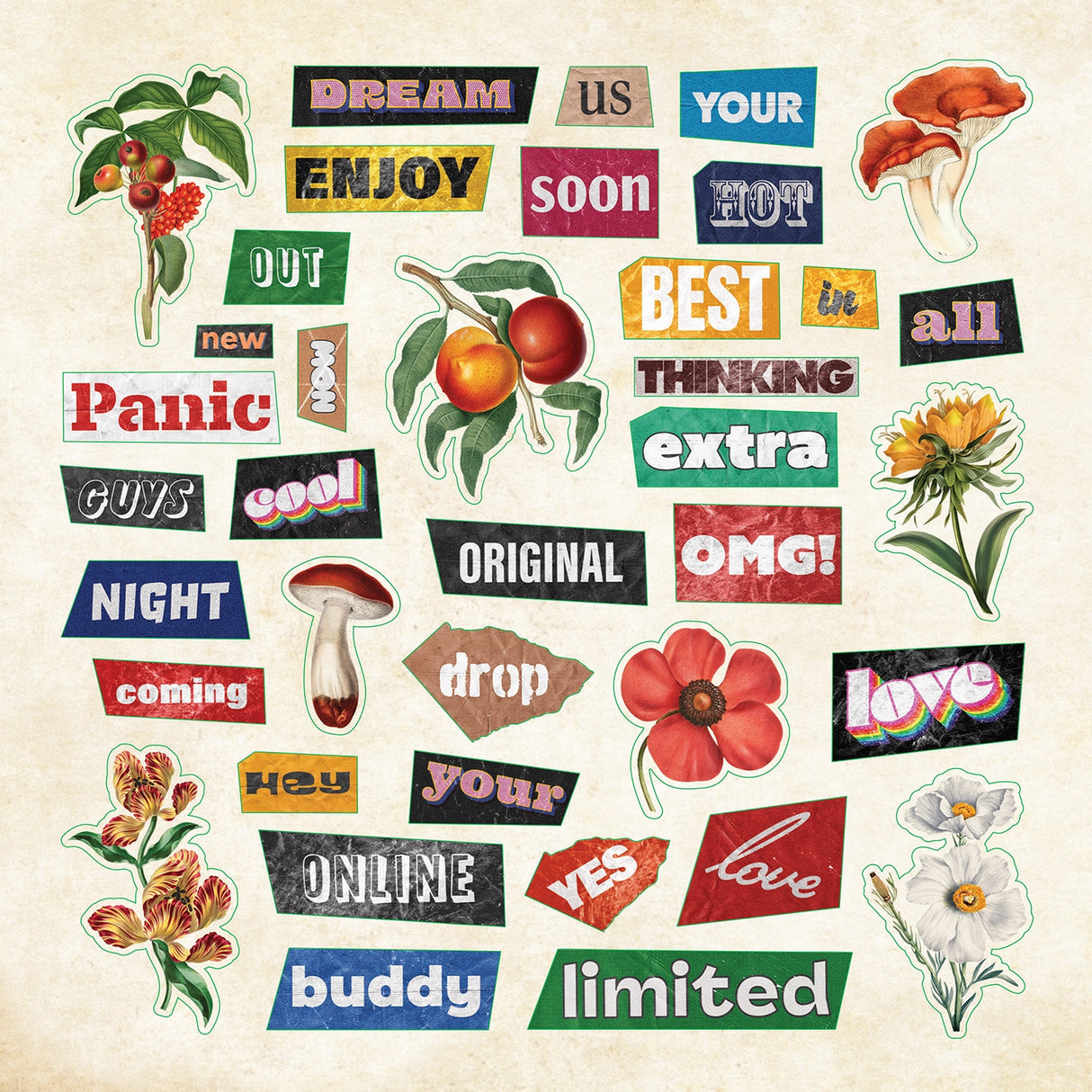 An awesome variety of newspaper and magazine typography looks. So many subjects, sizes, and styles to choose from! Durable stickers feature a high-quality finish. Perfect for collaging, enhancing your scrapbook or journal, or adding personality to your planner!