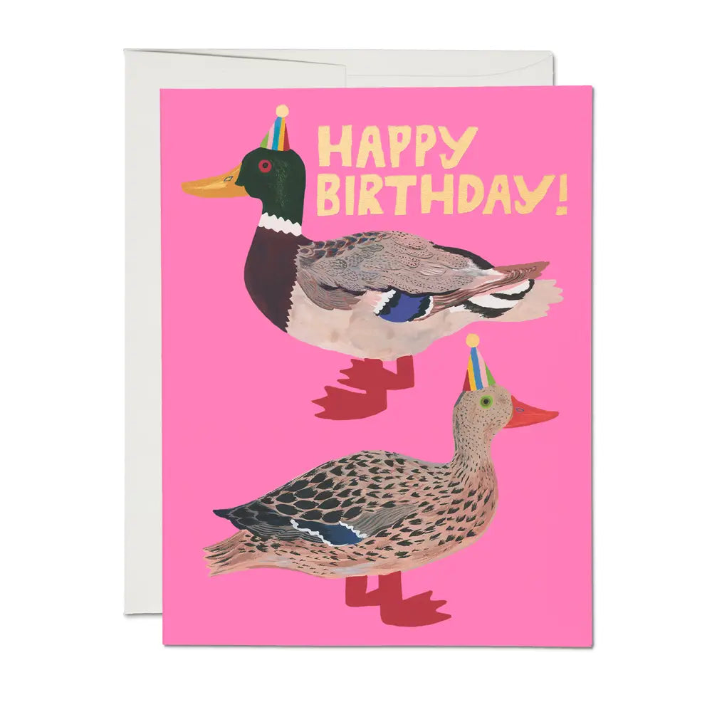 Red Cap Cards - Quacky Birthday Greeting Card
Illustrated by Emily Isabella
A2 - 4.25 x 5.5 inch