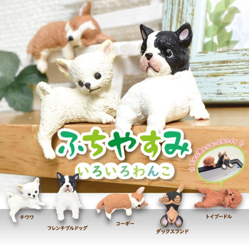 This is the newest addition to the popular "Futchiyasumi" series. Puppies of various breeds are using "Fuchiyasumi" to have a good night's sleep.... Their cute puppy-like pose is very cute!