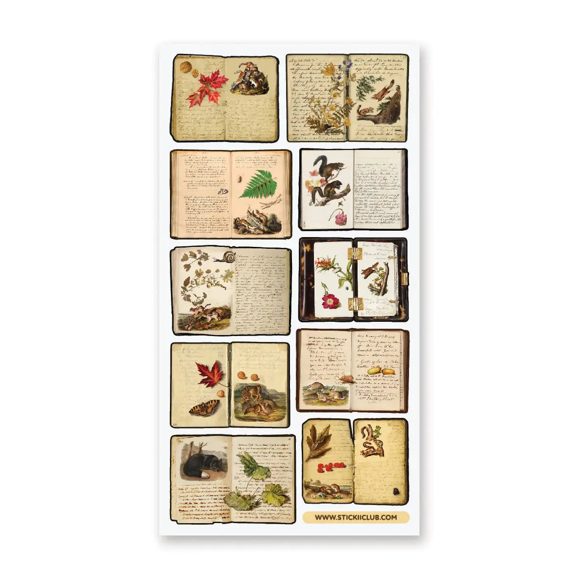 🍂📔 Between the pressed leaves and handwritten notes of these vintage botanical journals lies a treasury of woodland wonders—red squirrels leaping between branches, chipmunks gathering the season’s last feast, and autumn’s palette captured in every petal and frond.