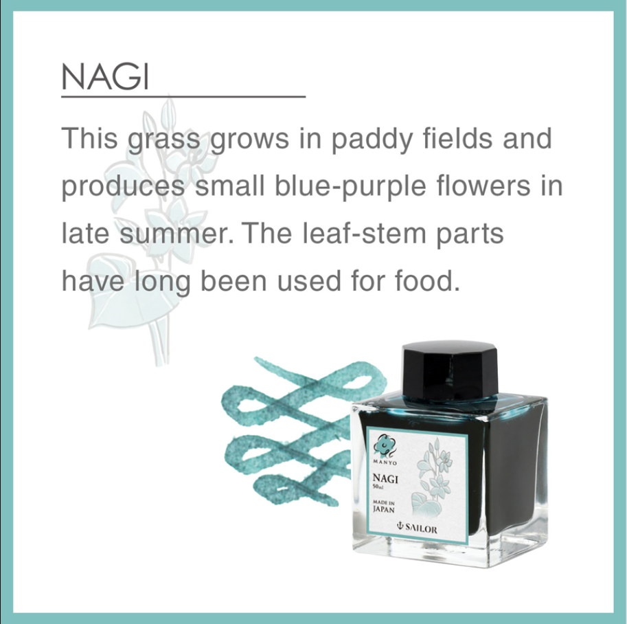 Sailor Professional Gear Slim Manyo 3 Fountain Pen and Ink Set "Bamboo Shoot" Limited Edition