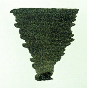 Diamine Fountain Pen Ink 80ml - Salamander