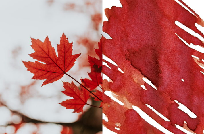 Dominant Industry Standard Ink 25ml - Maple